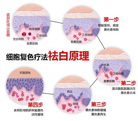 杨成平 科室主任